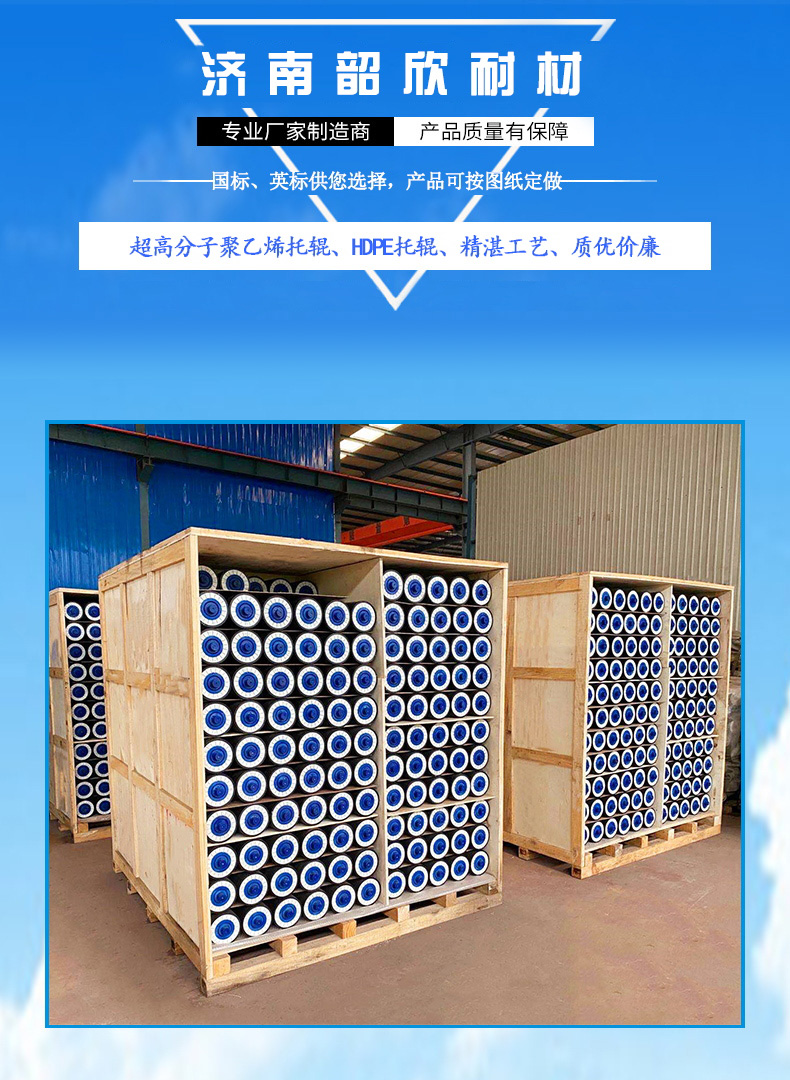 調(diào)心托輥廠家(圖1)